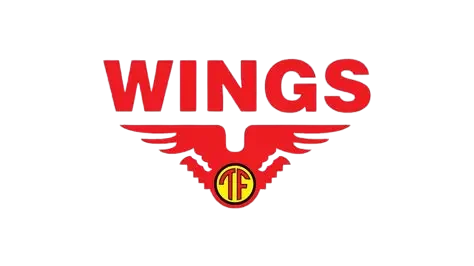Logo Wings